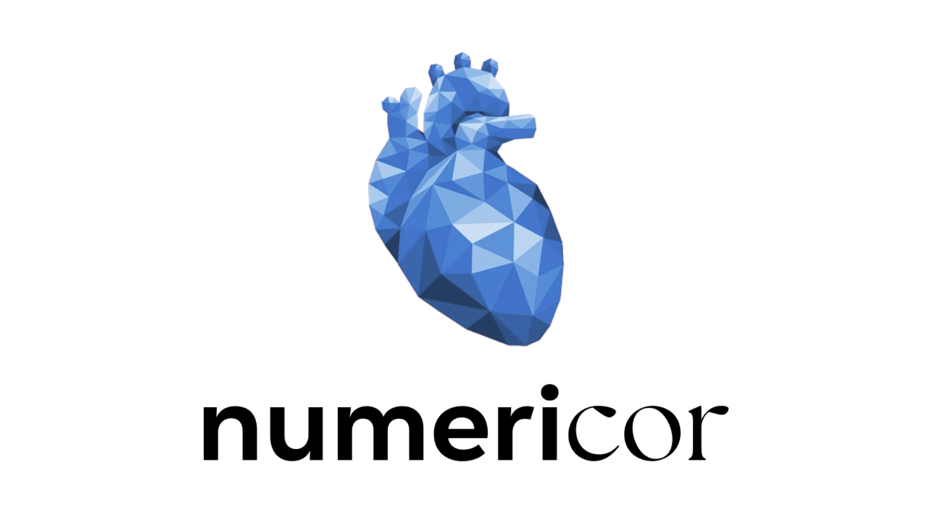 Improving electro-anatomical mapping technology for better AF diagnosis and treatment